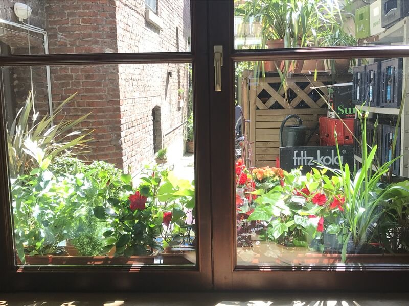 Blick aus dem Fenster in den begrünten Hinterhof